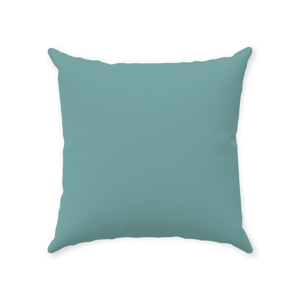 soft teal throw pillows